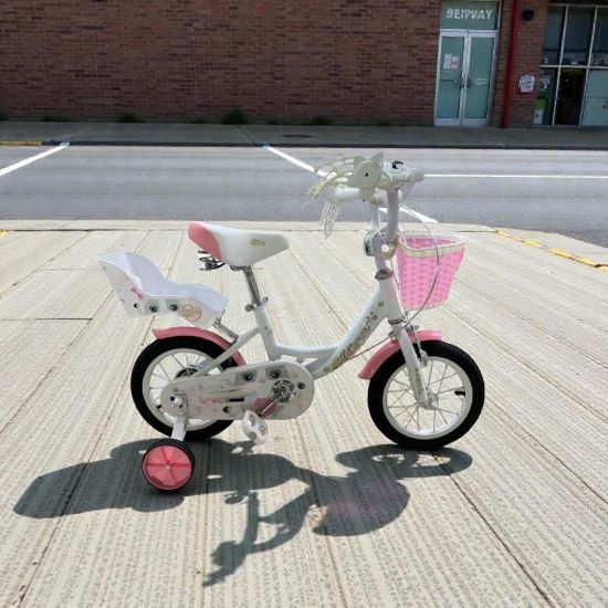 صورة دراجة هوائية انيقة